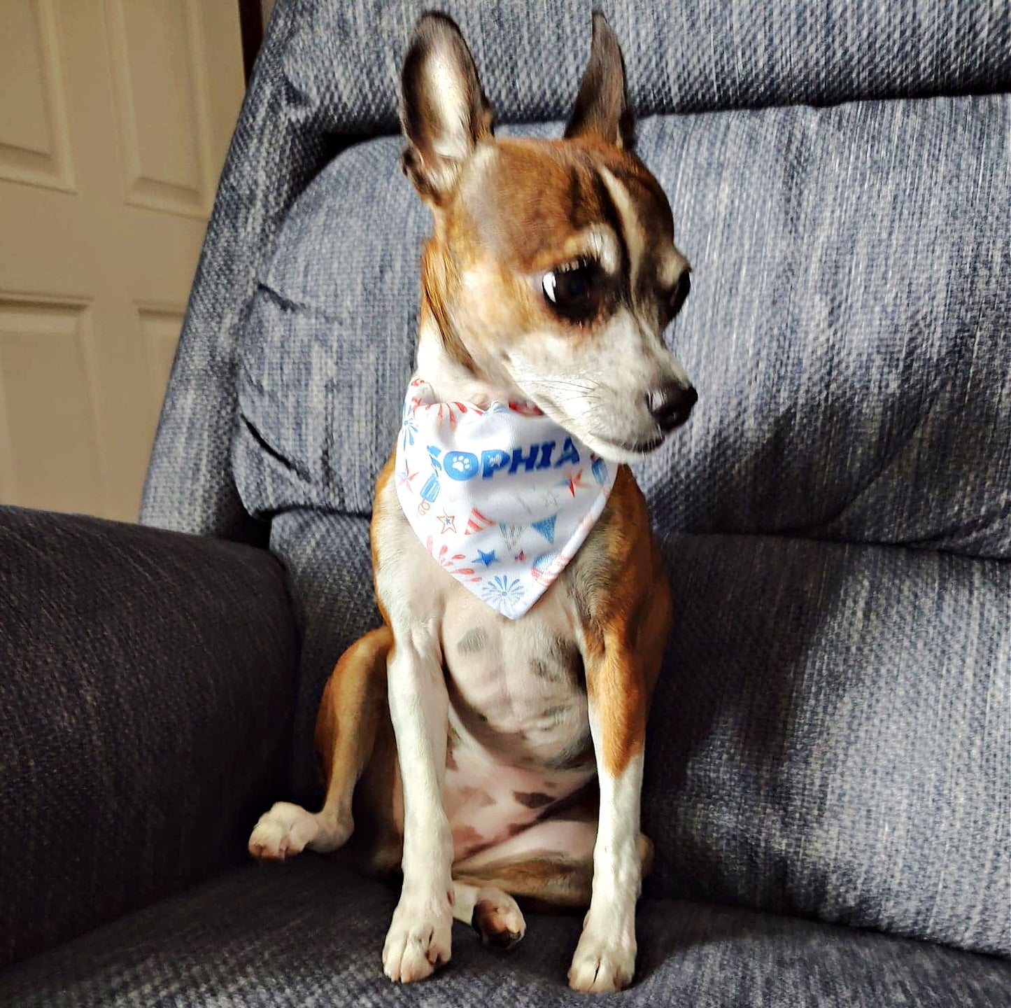 Patriotic Dog Bandana - Dog Scarf - With Collar - Birthday - Memorial - Washable - Adjustable - 4th