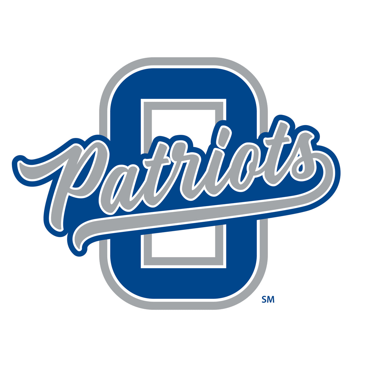 Olentangy Liberty Hype Chain Necklace – School Spirit Game Day Accessory