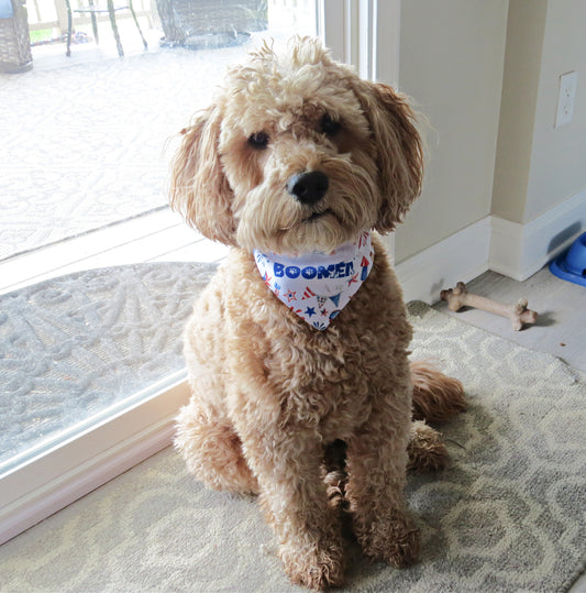 Patriotic Dog Bandana - Dog Scarf - With Collar - Birthday - Memorial - Washable - Adjustable - 4th